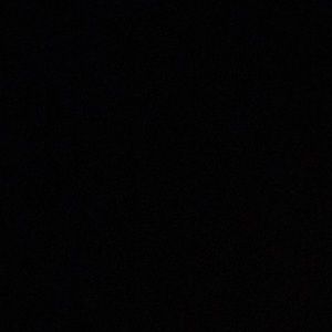 Meet your Posher, Will